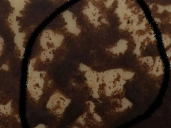 Запись к гадалке в Усть-Куте